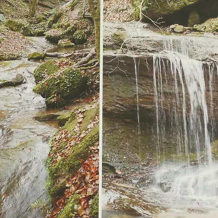 Апартаменты 